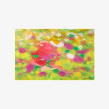 Petals of Sweet Memory
